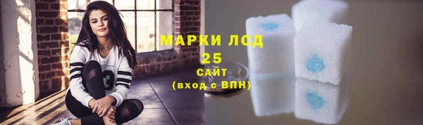 винт Гусь-Хрустальный