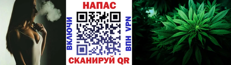 Конопля план  Мезень 